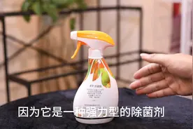 家庭养花植物的叶片长了病菌怎么办？园艺师教你，用苯甲肟菌酯视频封面