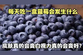 每天吃一盒蓝莓会发生什么？皮肤真的会变白？视力真的会变好？