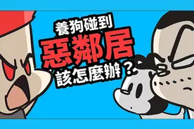 拿石头丢、踢狗、不准搭电梯，碰到恨狗恶邻居该怎么反击？视频封面