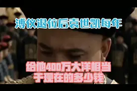 溥仪退位后，袁世凯每年给他400万大洋，相当于现在的多少钱视频封面
