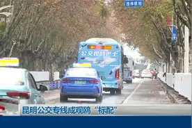 昆明公交专线成观鸥“标配”视频封面