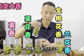5款不同香型的六安瓜片，你都喝过哪一款？你更喜欢喝哪一款？视频封面