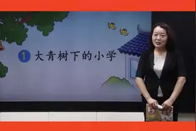 02课时 《大青树下的小学》小学三年级上册