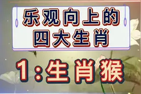 乐观向上的四大生肖视频封面