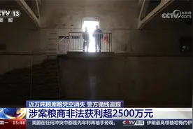 近万吨粮库粮凭空消失？不断弄虚作假 谁给“硕鼠”开方便之门！视频封面