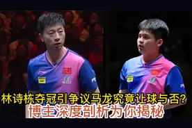 林诗栋夺冠引争议，马龙究竟让球与否？博主深度剖析为你揭秘视频封面