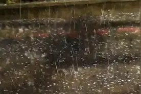 强对流天气已抵达北京：平谷等地闪电、大风、暴雨、冰雹齐至视频封面