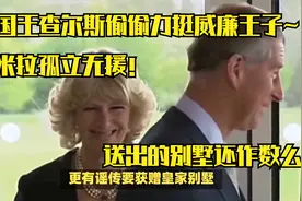 被架空！卡米拉野心惨遭覆灭，查尔斯偷偷为儿子威廉干了这件事视频封面