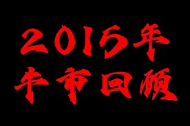 2015年牛市回顾！期待一个牛市！视频封面