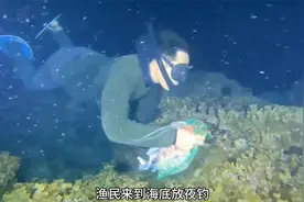 渔民下海放夜钓，遭遇到大墨鱼，还收获好几条大石斑视频封面