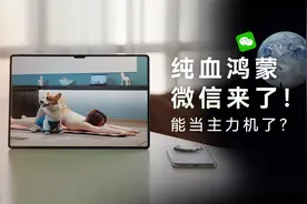 纯血鸿蒙微信来了！沉浸式体验鸿蒙的一天：真的能当主力机了？视频封面