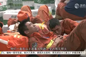江门开平：山火得到控制 500多名消防员留守现场（2024.10.29报道视频封面