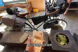 2000公里到拉萨，看到神圣的布达拉宫，准备回老家过年视频封面