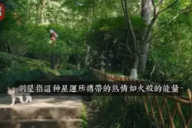 2025九紫离火运：这4生肖要走大运了!如何抓住机遇提升个人运势？