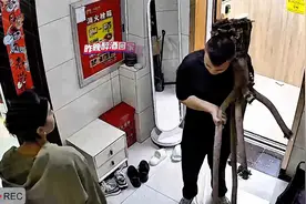 男子醉酒扛树回家后续来了，男子：看见树一刻“人傻了”视频封面