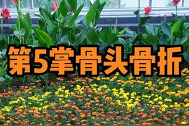 #医学科普  #掌骨骨折  #书山有路勤为径学海无涯苦作舟 视频封面