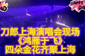刀郎上海演唱会四朵金花首次同台合唱《花妖》《鸿雁于飞》视频封面