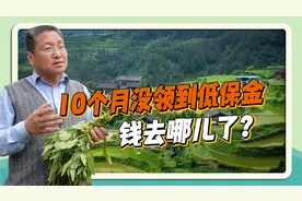 10个月没领到低保金，钱去哪儿了？朱启臻：每笔惠农补贴都应公开视频封面