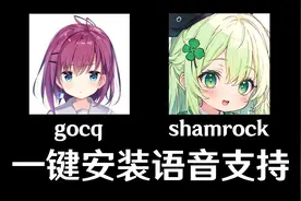 QQ机器人一键安装语音支持小白教程：gocq和shamrock视频封面