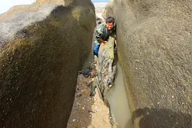 阿阳赶海意外发现沉海木，散发浓香可惜无法带走，简直谁捡谁发财视频封面