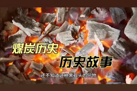 你不知道的煤炭历史视频封面