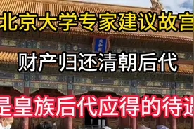 北京大学专家建议：故宫财产归还清朝后代，是皇族后代应得的待遇视频封面