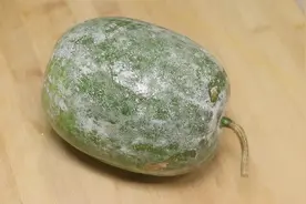 教你开胃冬瓜汤的做法，简单一做，鲜美入味，爽口解腻，家人喜欢