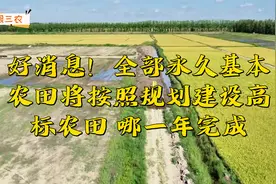 好消息！全部永久基本农田将按照规划建设高标农田，哪一年完成？视频封面