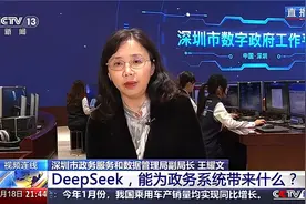 央媒专题报道Deepseek 能为政务系统带来什么？视频封面