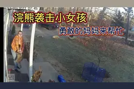 浣熊袭击小女孩，勇敢的妈妈前来救援！视频封面