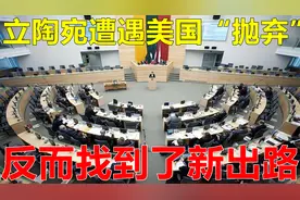 回顾:立陶宛遭美国“抛弃”，却找到了新出路？视频封面
