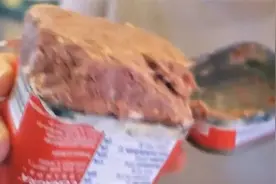 英军罐头简史二战中的明星视频封面