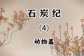 石炭纪(4)动物篇 石炭纪时期的爬行动物演化及部分爬行动物种类视频封面