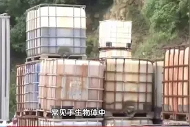 谷氨是否为危化品 @巴洛仕集团视频封面