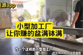 办一个这样的小型加工厂，夫妻两个不用雇人也能赚的盆满钵满视频封面