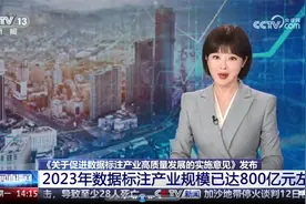 央视：数据标注是做什么？视频封面