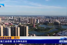 市州两会观察·天门丨实施工业倍增 全力争先进位视频封面