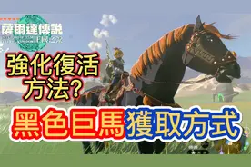 【塞尔达王国之泪】黑色巨马获取方式视频封面