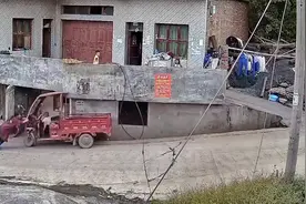 男童不慎启动三轮车开关沿下坡路驶去，妈妈为救子肉身硬刚铁三轮视频封面