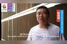 鸭子住“高楼”湖北省襄阳宜城畜禽养殖向绿色高效转型