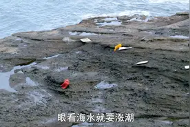 太平洋海岛求生，野生小鱼，海鲜刺身，豪华庇护所！ #荒野求生视频封面