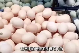 超市中的鸡蛋不是母鸡下的吗？看完工厂生产过程，你就明白了！视频封面