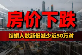 结婚人数减少94万对，房价还能上涨吗？视频封面