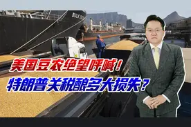 美国豆农高喊：这个国家完蛋了，特朗普关税造成多大损失？视频封面