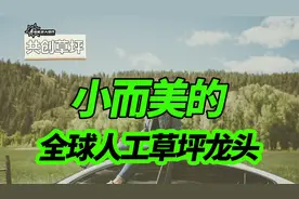 机构低调抄底，小而美的全球龙头，共创草坪，足够低位和低估了
