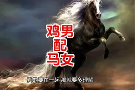 属鸡的人和什么生肖最配之鸡男配马女 #属鸡人 #婚姻家庭视频封面