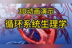 第1集 生命之河：3D全景动态追踪人体血液旅程。3D动画-循环系统视频封面