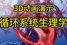 第1集 生命之河：3D全景动态追踪人体血液旅程。3D动画-循环系统