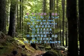 爆红抖音全网10首最火热歌【抖音破亿神曲】首首洗脑，太好听
