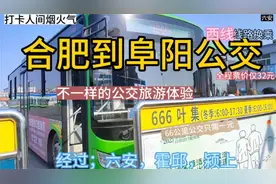 合肥开往阜阳的公交线路来了，票价才30元，吃阜阳卷馍方便啦视频封面